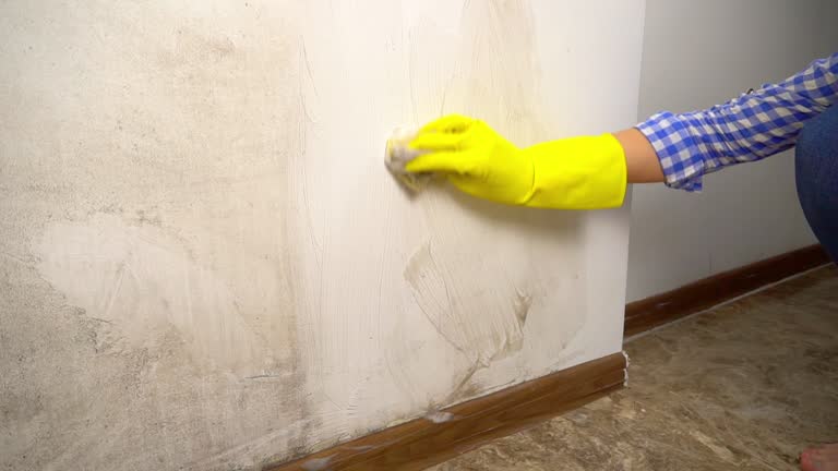 Best Residential Mold Inspection & Testing  in Malta, MT